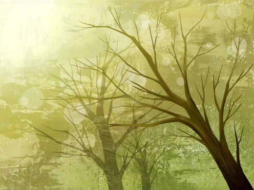 418135 (a): :1600x1200